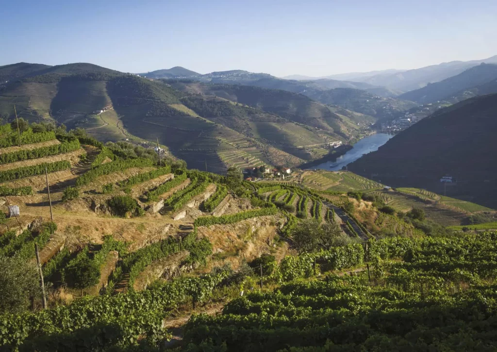 Domaine Quinta Da Côrte
