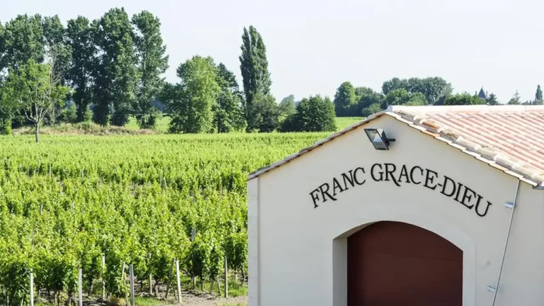 Domaine viticole : Château Franc Grâce Dieu