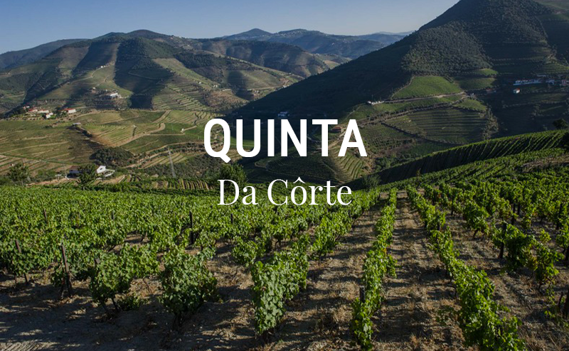 Domaine viticole Quinta Da Côrte